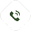 Telephone icon
